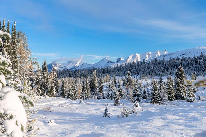 Banff ski resort