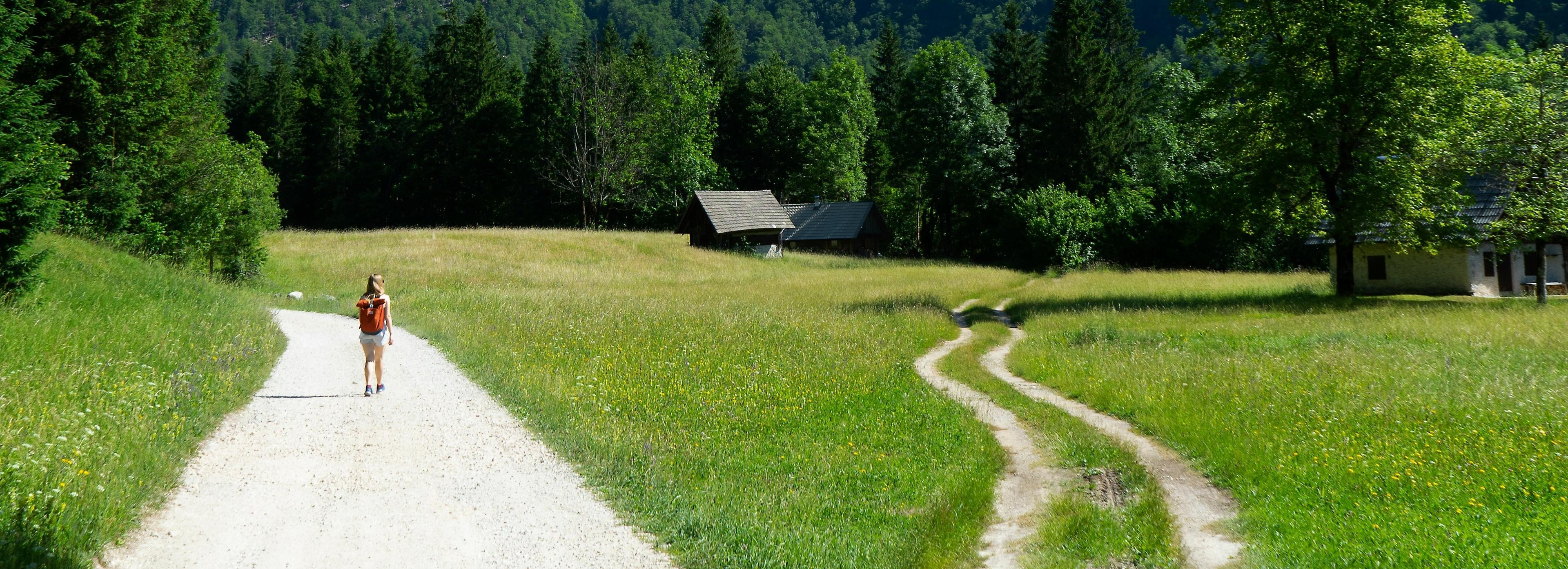 Hiking & Walking 