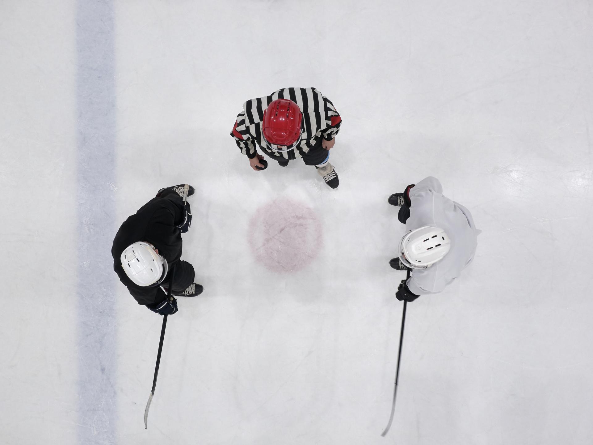 Ice hockey players ready to start a game